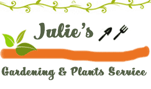 Julies Plants