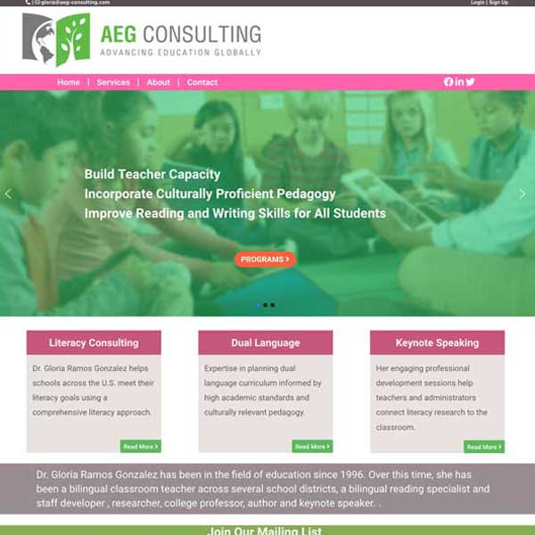 AEG Consulting